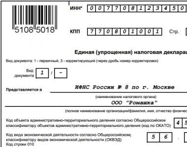 Единая упрощенная налоговая декларация образец заполнения